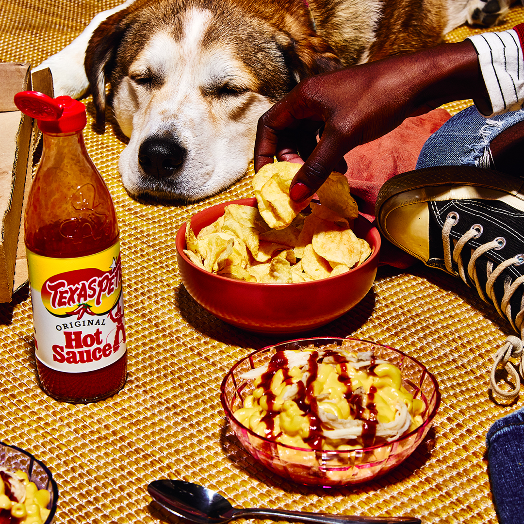 Dog looking at a bowl of food with a bottle of Texas Pete Hot Sauce on a blanket.